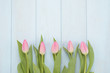 © imstock - Tulipanes de color rosa sobre fondo de madera azul