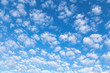 Nice small clouds. Cute fluffy cirrus clouds on a blue sky, background with a gradient effect.