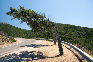 Wall Mural - Mistral is powerful in the mountains