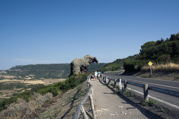 An elephant on the road