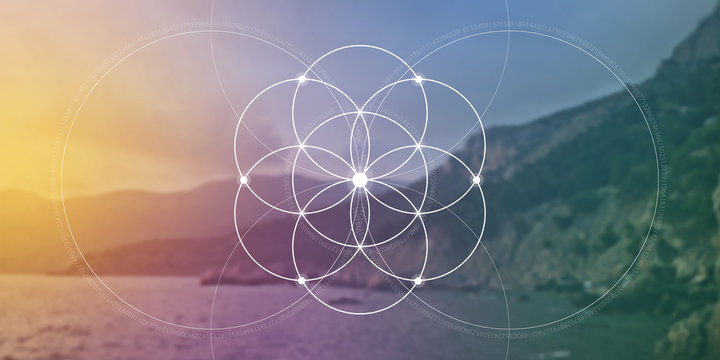 sacred geometry flower of life website banner with golden ratio numbers, interlocking circles and pa