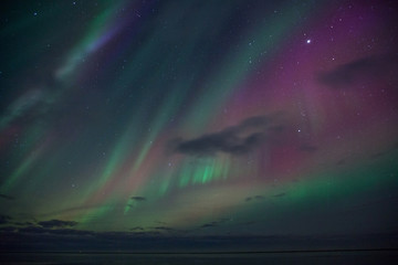 Wall Mural - islanda, aurora boreale