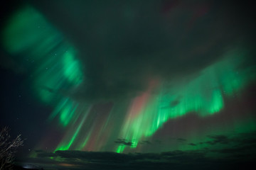 Wall Mural - islanda, aurora boreale