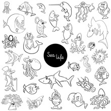Cartoon Sea Life Animal Characters Set Color Book