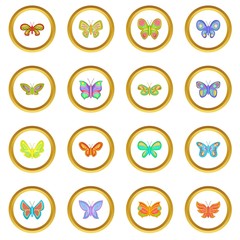 Wall Mural - Butterfly fairy icons circle