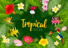 Summer Tropical Frame Design