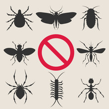 Home Insect Pests