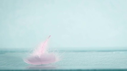 Sticker - Extremely close up a soft pink feather on blue background as dreamy ,softness , fresh and romance concept , 4K Dci resolution