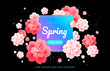 Spring sale beautiful blossom flowers background
