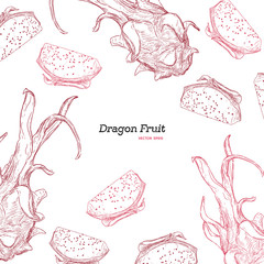 Sticker - Hand drawn exotic colorful fruits. Engraved style illustration. Vintage dragon fruit frame. Pitaya or pitahaya