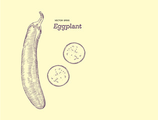 Wall Mural - Hand drawn sketch whole eggplant with slices composition.