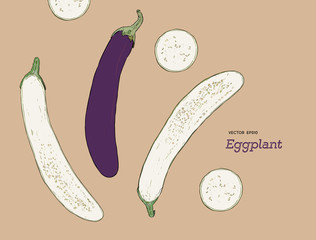 Wall Mural - Hand drawn sketch whole eggplant with slices composition.