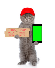 Poster - Funny pizza delivery cat with pizza boxes and smartphone. isolated on white background