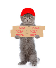 Poster - Pizza delivery cat with pizza boxes. isolated on white background