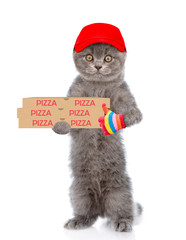 Poster - Pizza delivery cat in red cap with pizza boxes showing thumbs up. isolated on white background