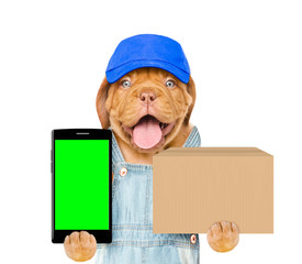 Poster - Funny puppy with smartphone and box. isolated on white background