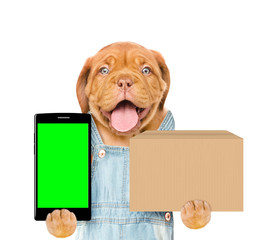 Poster - Happy dog with smartphone and box. isolated on white background