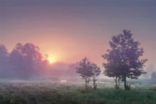 A Landscape Of Summer Sunrise In Misty Morning With Colorful Sky On The Horizon. Scenic Landscape Of Nature In A Meadow. The Sun Rises Behind The Trees In The Early Morning
