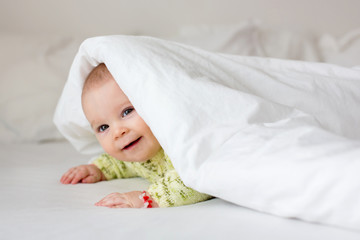 Wall Mural - Cute little six month old baby boy, playing under duvet at home in bed in bedroom