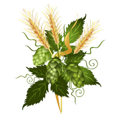 Wall Mural - Hop vine and barley ears. Realistic vector illustration isolated on white background.