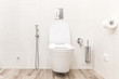 Toilet bowl in modern bathroom with small bidet shower