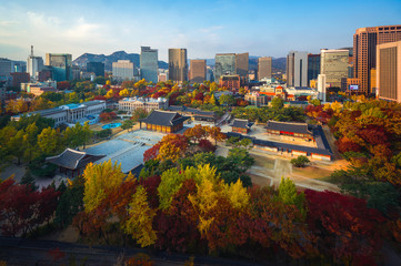 Sticker - Autumn park and temple in old palace in Seoul