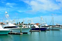 Boats Moored At A Marina Florida, USA