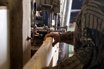 Wall Mural - Carpenter using electric saw
