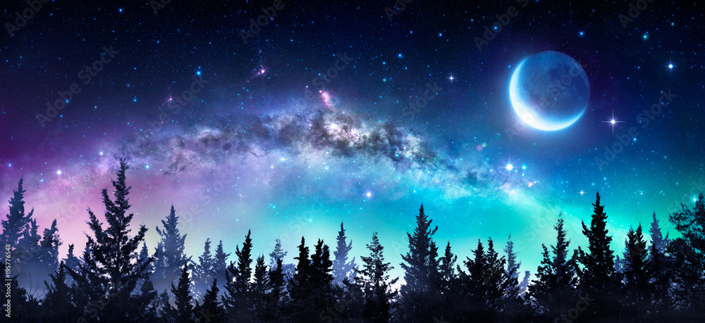 Milky Way And Moon In Night Forest - obrazy, fototapety, plakaty 