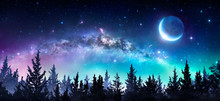 Milky Way And Moon In Night Forest