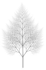 Wall Mural - flat vector computer generated self-similar l-system branching tree fractal - generative art