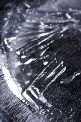 Wall Mural - Close up of Air Bubbles in Ice