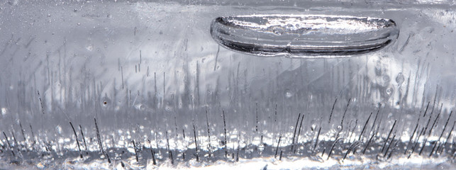 Wall Mural - Close up of Air Bubbles in Ice