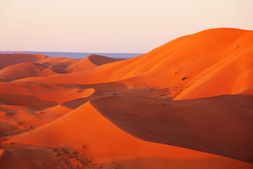 Wall Mural - Sand desert