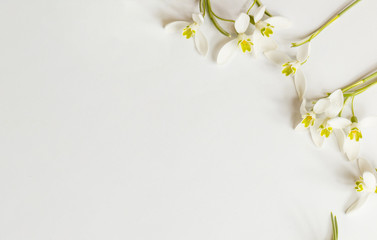  Romantischer Blumenrahmen mit Schneeglöckchen auf hellem Hintergrund