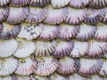 Texture Detail Of  Facade Chapel Covered Of Scallop Shells On Toja Island, Galicia, Spain.