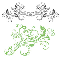 Wall Mural - Floral decorative ornament. Green flower branch and black ornamental divider