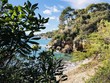 Côte d'Azur French Riviera Iles de Lerins St Honorat Mer Méditerranée Sud Soleil Vacances
