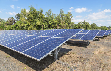 Wall Mural - close up rows array of polycrystalline silicon solar cells or photovoltaics in solar power plant tur