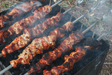 Smoke over a grilled pork meat on a summer outdoor picnic barbecue.