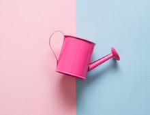 Watering Can On Pink Background

