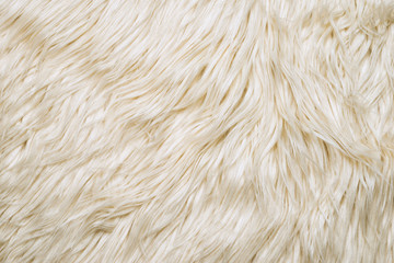 white wool fur. detail of white sheep fur as a background.
