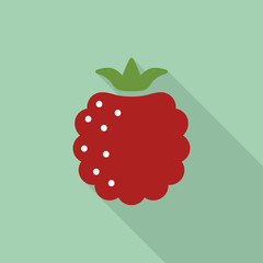 Canvas Print - Raspberry flat icon with shadow