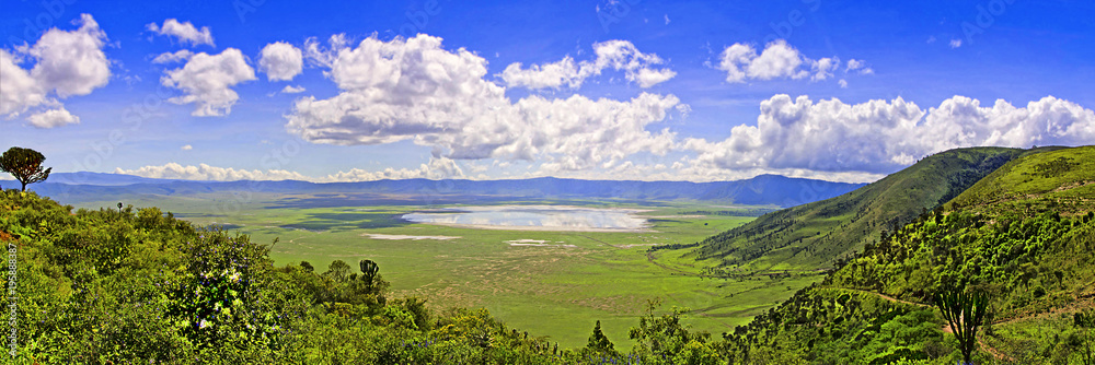 Panoramic view of Crater  Ngorongoro at the afternoon/ View from the height of the world famous reserve Ngoro ngoro where the remains of the very first person were found - obrazy, fototapety, plakaty 