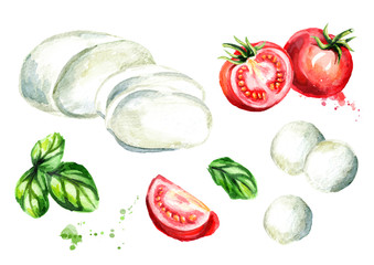 Mozzarella cheese, Basil, tomatoes set. Watercolor hand drawn illustration, isolated on white background