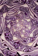 Detail of Red cabbage section