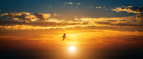 Poster - Dramatic sunset sky with clouds