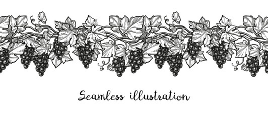 Canvas Print - seamless illustration of grapes.