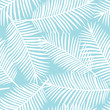 white palm leaves on a blue background exotic tropical hawaii seamless pattern vector