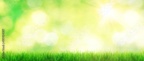 Gras im Frühling